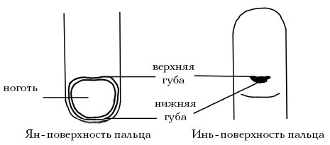  Целительные точки на ступнях и ладонях. Су-джок для всей семьи 1025134-Autogen_eBook_id118