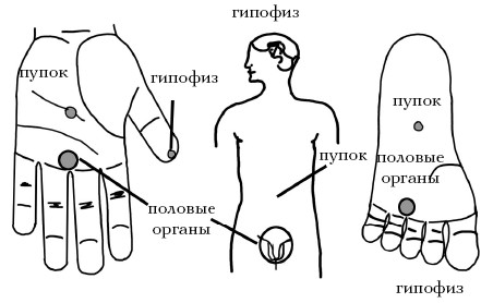  Целительные точки на ступнях и ладонях. Су-джок для всей семьи 1025134-Autogen_eBook_id138