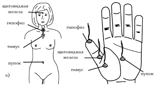  Целительные точки на ступнях и ладонях. Су-джок для всей семьи 1025134-Autogen_eBook_id142