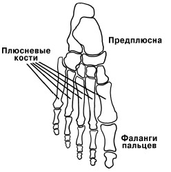  Целительные точки на ступнях и ладонях. Су-джок для всей семьи 1025134-Autogen_eBook_id51