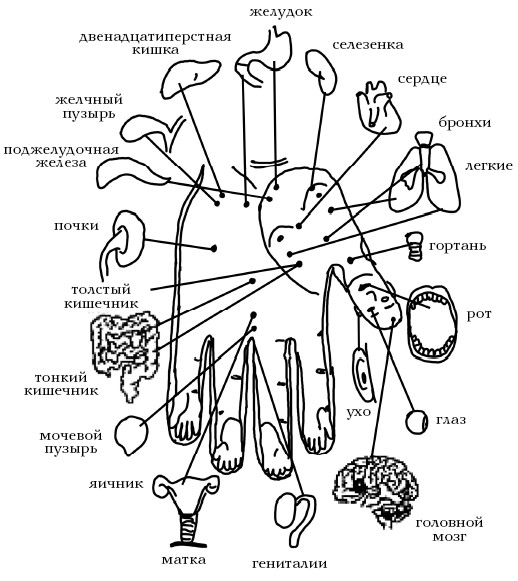  Целительные точки на ступнях и ладонях. Су-джок для всей семьи 1025134-Autogen_eBook_id56