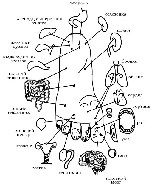  Целительные точки на ступнях и ладонях. Су-джок для всей семьи 1025134-Autogen_eBook_id57