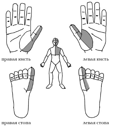  Целительные точки на ступнях и ладонях. Су-джок для всей семьи 1025134-Autogen_eBook_id65