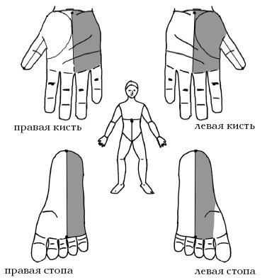  Целительные точки на ступнях и ладонях. Су-джок для всей семьи 1025134-Autogen_eBook_id66