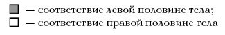  Целительные точки на ступнях и ладонях. Су-джок для всей семьи 1025134-Autogen_eBook_id67