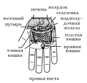  Целительные точки на ступнях и ладонях. Су-джок для всей семьи 1025134-Autogen_eBook_id73