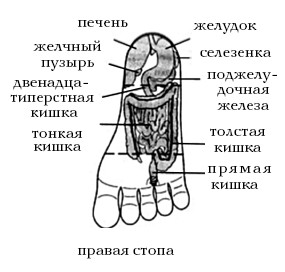  Целительные точки на ступнях и ладонях. Су-джок для всей семьи 1025134-Autogen_eBook_id74