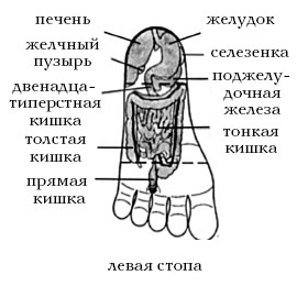  Целительные точки на ступнях и ладонях. Су-джок для всей семьи 1025134-Autogen_eBook_id76