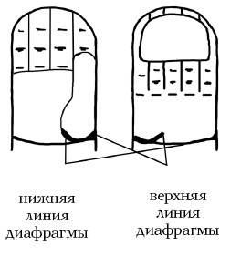  Целительные точки на ступнях и ладонях. Су-джок для всей семьи 1025134-Autogen_eBook_id78