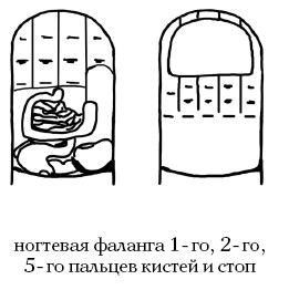  Целительные точки на ступнях и ладонях. Су-джок для всей семьи 1025134-Autogen_eBook_id79