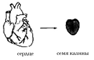  Целительные точки на ступнях и ладонях. Су-джок для всей семьи 1025134-Autogen_eBook_id83