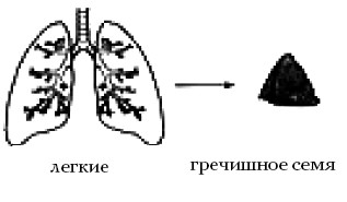  Целительные точки на ступнях и ладонях. Су-джок для всей семьи 1025134-Autogen_eBook_id84