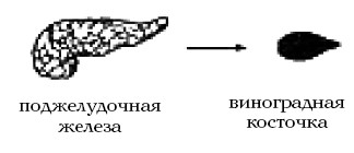  Целительные точки на ступнях и ладонях. Су-джок для всей семьи 1025134-Autogen_eBook_id86