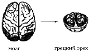  Целительные точки на ступнях и ладонях. Су-джок для всей семьи 1025134-Autogen_eBook_id87