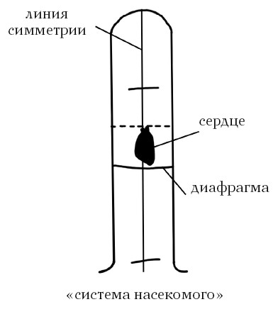  Целительные точки на ступнях и ладонях. Су-джок для всей семьи 1025134-Autogen_eBook_id99