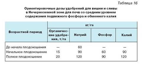 read ocp oracle