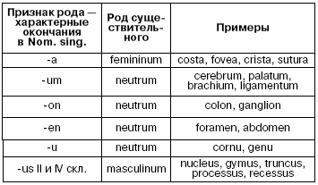 латинский язык учебник для медиков