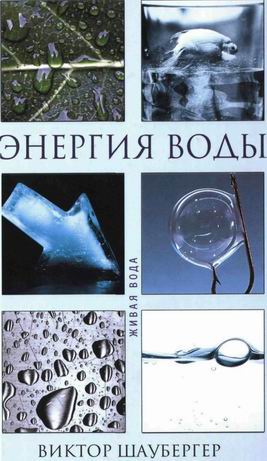 Книгу Двигатель Шаубергера