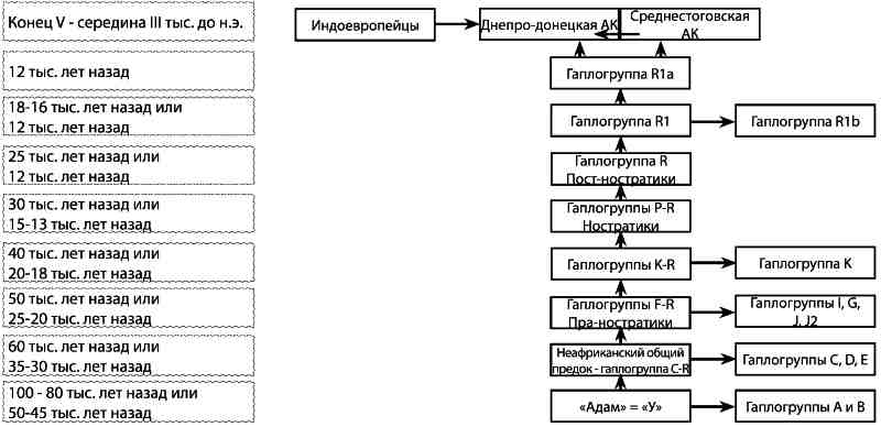 Русские – не славяне?