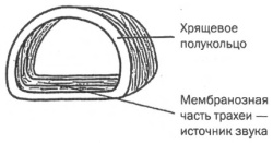 Управление голосом