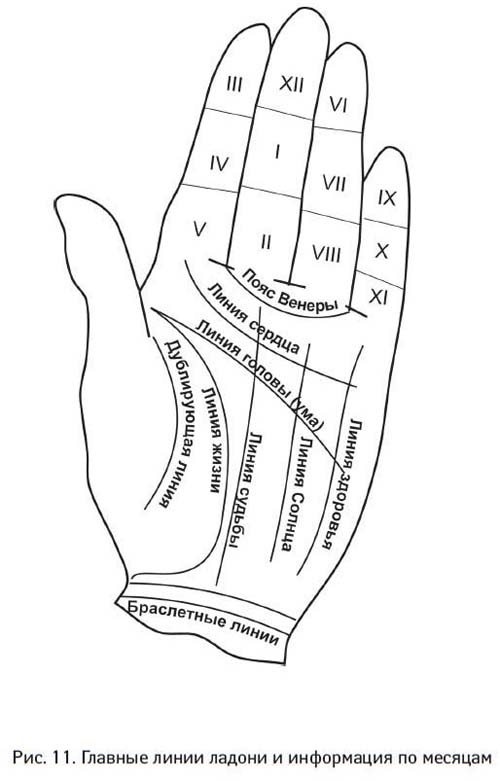Где проходит линия жизни на ладони рисунок