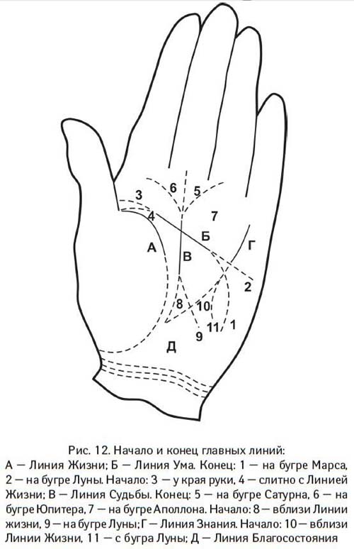 Где проходит линия жизни на ладони рисунок