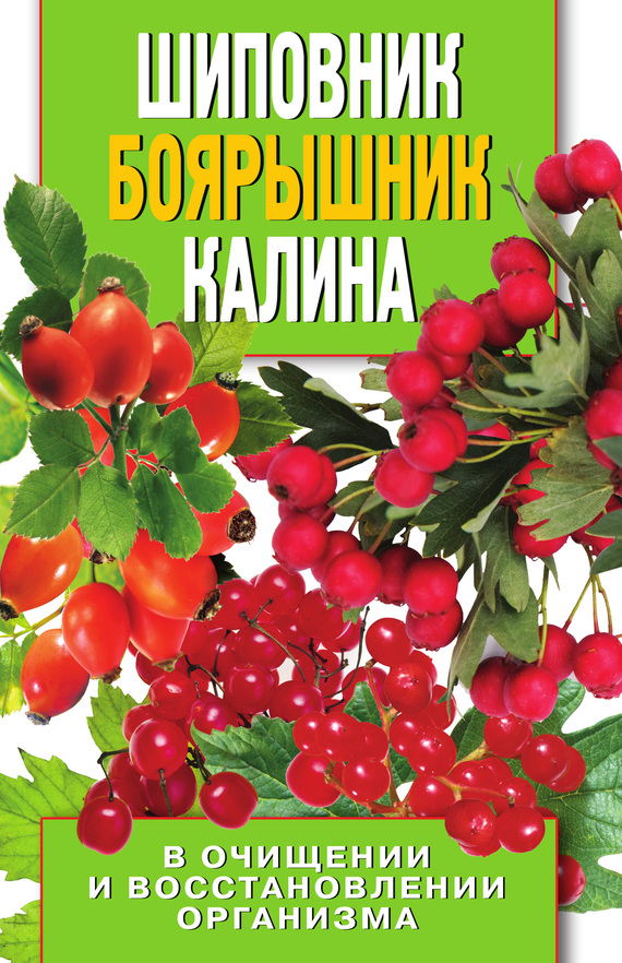 Шиповник и калина