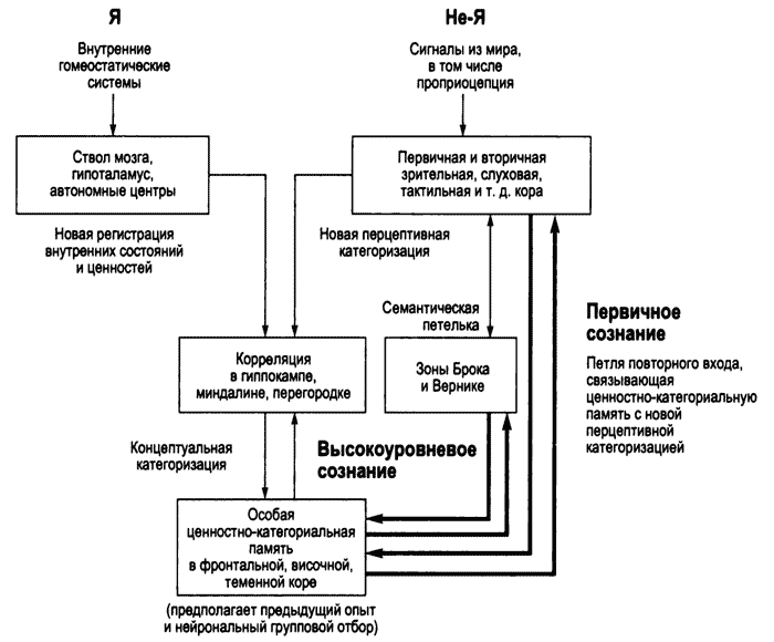 Схема аркадьева маркса выглядит следующим образом