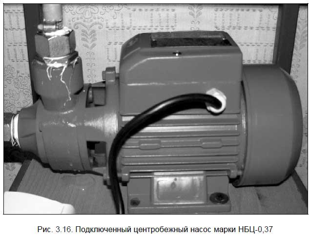 Бывший горожанин в деревне. Курс выживания