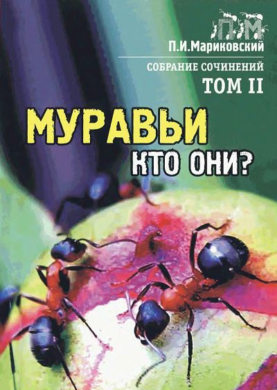 Проект кто такие муравьи 2 класс