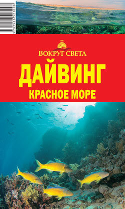 Дайвинг в красном море фото