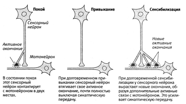 Ошибка ядро недостаточно памяти