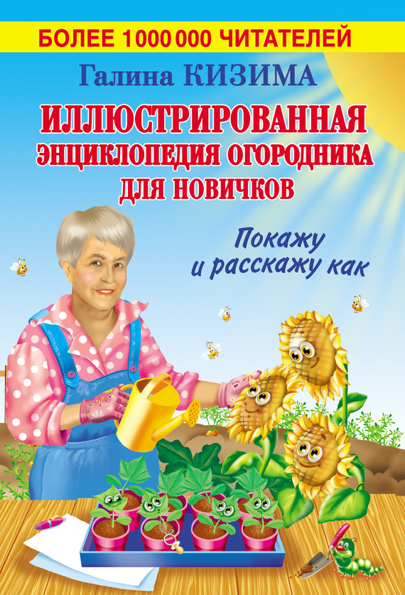 Образец книги новичка