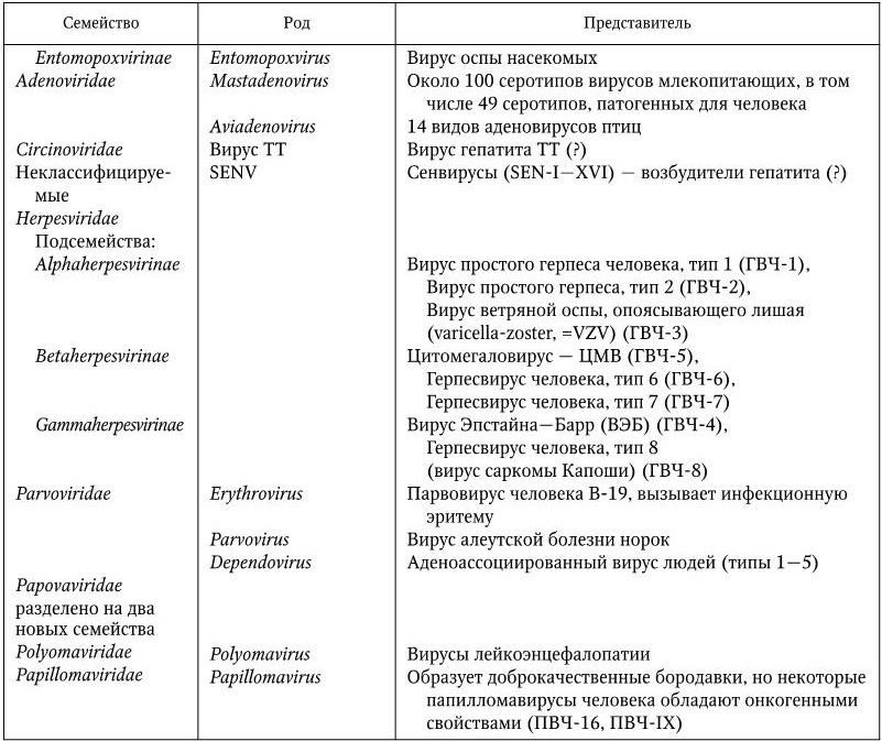 Классификация видов и форм иммунитета микробиология схема