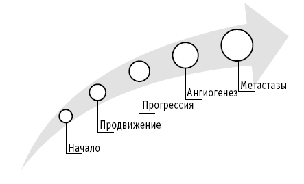 Мои рецепты от рака. Опыт врача, победившего онкологию