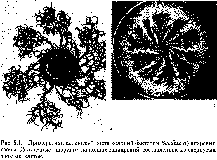 Критическая масса картинка