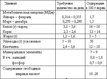 Зверьки шиншиллы. Содержание и разведение