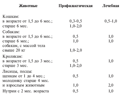 Зверьки шиншиллы. Содержание и разведение