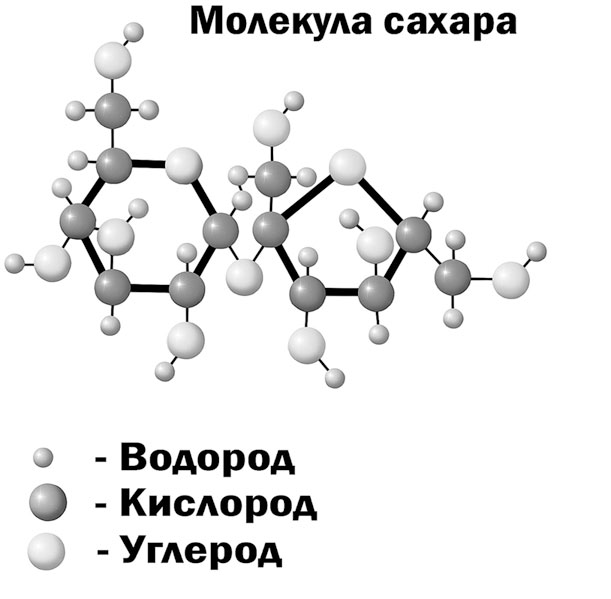 Молекула сахара как выглядит фото