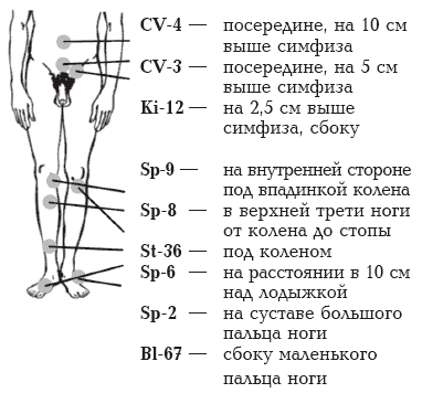 Эрогенные зоны фото