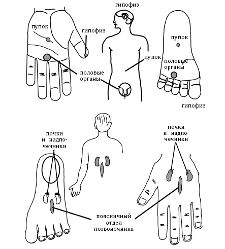 Акупунктура ладони схема