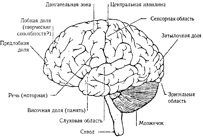 Гедель, Эшер, Бах: эта бесконечная гирлянда