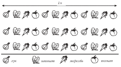 epub Экологическая структура степной зоны