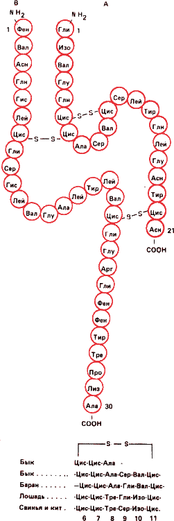 Справочник