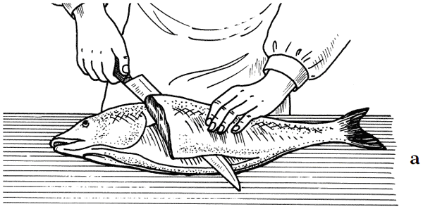Как сохранить и приготовить рыбу на водоеме и дома