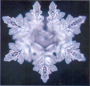 Послания воды. Тайные коды кристаллов льда