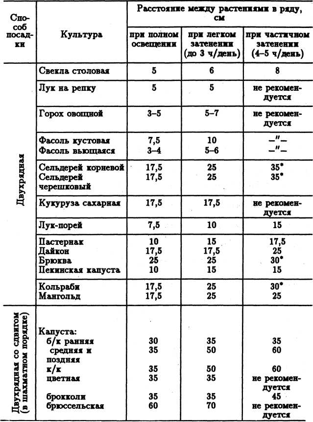 Семейное овощеводство на узких грядах