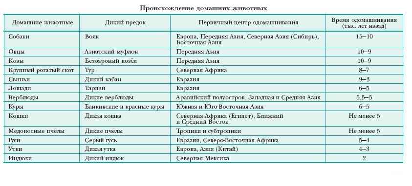 Биология 7 класс тема семейство тыквенные таблица готовая анатомо морфологический анализ