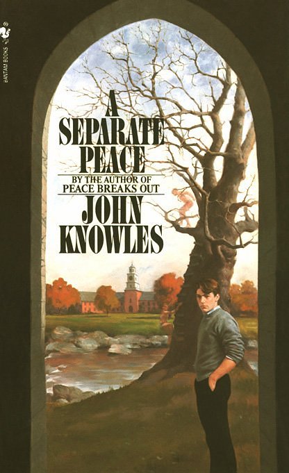 a separate peace audio book