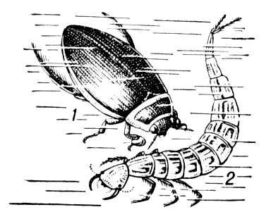 Большая Советская Энциклопедия (ПЛ)